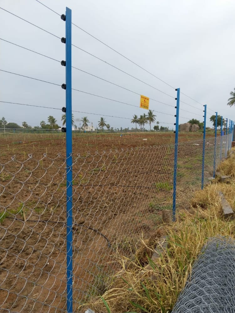 Agricultural chain link fence with blue solar fence posts